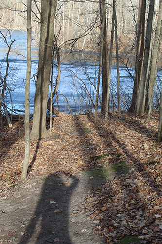 This is a photo of the woods in the winter.