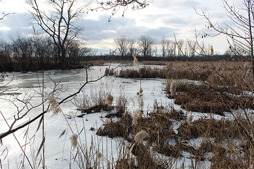 This is a photo of a frozen lake.