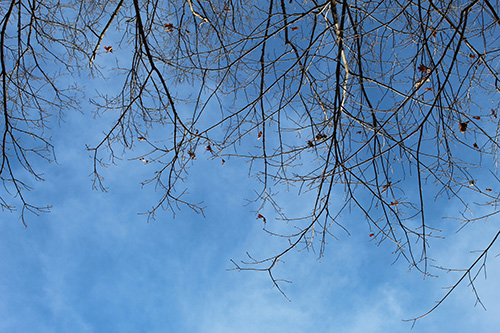 This is a photo of a blue sky.